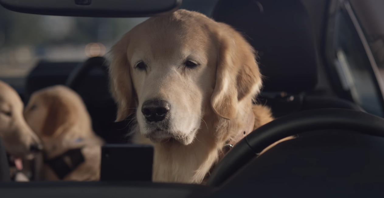 Subaru считает, что реклама, ориентированная на собак, была значительной частью ее успеха